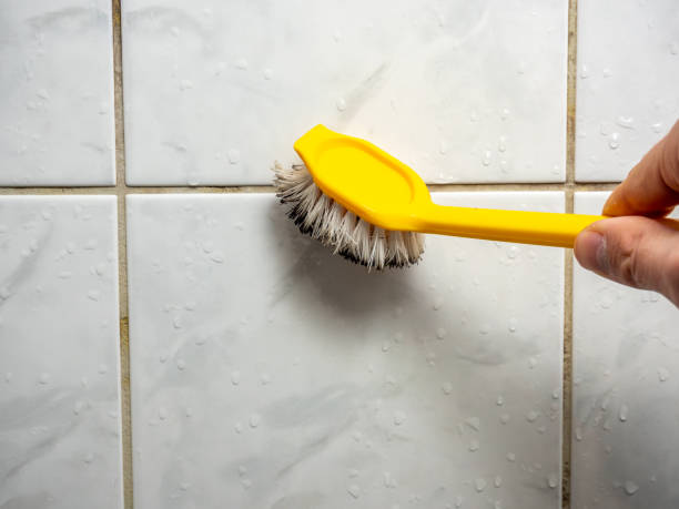 Best Emergency Mold Removal  in Glendale, CO