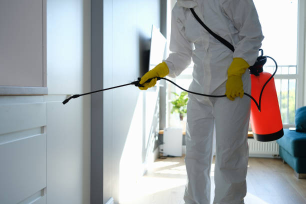 Best Commercial Mold Removal  in Glendale, CO