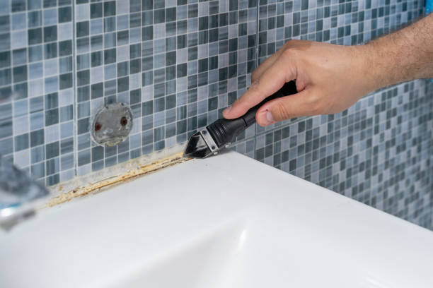 Mold Removal Process in Glendale, CO