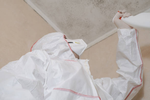 Crawl Space Mold Removal in Glendale, CO